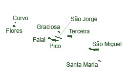 Pasted Graphic 4